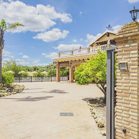 Cubo'S Villa Los Javieles Alhaurín el Grande Dış mekan fotoğraf